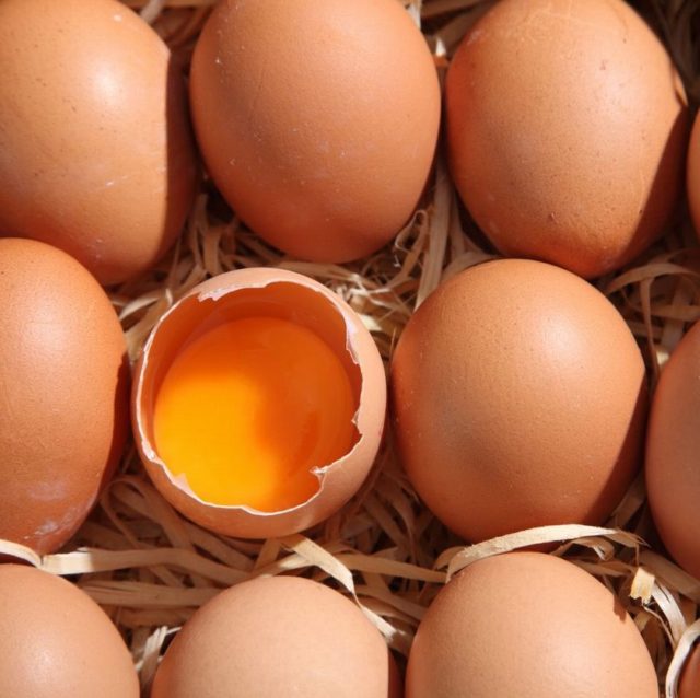 Eggs Are One of the Best Things You Can Eat, According to Nutritionists