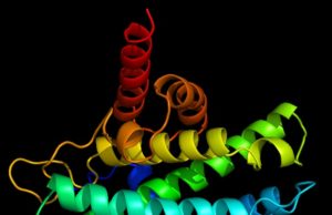 Levitating human blood may lead to faster, more reliable disease detection