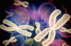 New C. elegans model will accelerate study of a rare disease