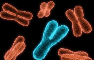 Language may be a promising biomarker for progression of Hungtinton's disease