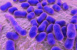 Purdue scientists receive $3.2 million NIH grant to target antimicrobial resistance