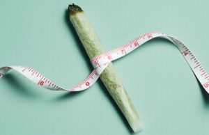 Get High, Slim Down: How Weed Can Help You Lose Weight, According to Science