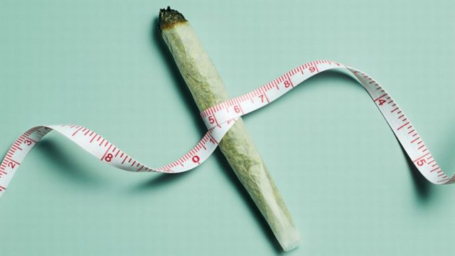 Get High, Slim Down: How Weed Can Help You Lose Weight, According to Science
